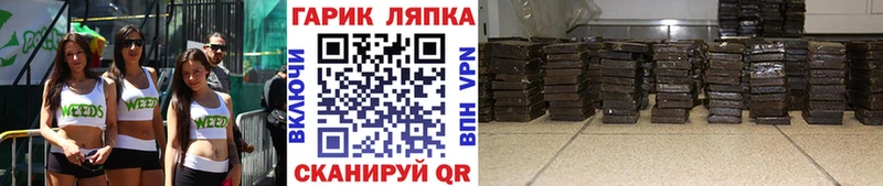 где можно купить Сегежа ГАШ Изолятор