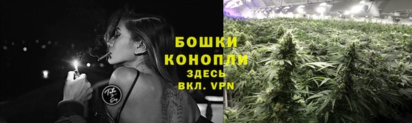 альфа пвп Дмитровск