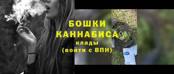 ПСИЛОЦИБИНОВЫЕ ГРИБЫ Дмитров