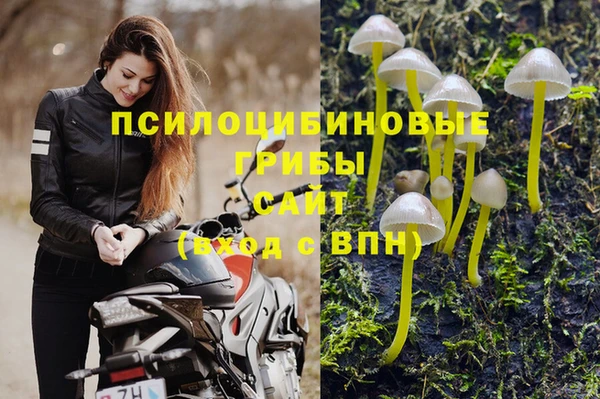ПСИЛОЦИБИНОВЫЕ ГРИБЫ Дмитров