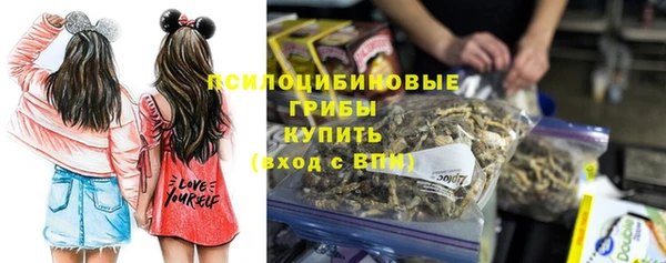 ПСИЛОЦИБИНОВЫЕ ГРИБЫ Дмитров