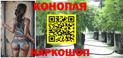 прущие грибы Жуковский