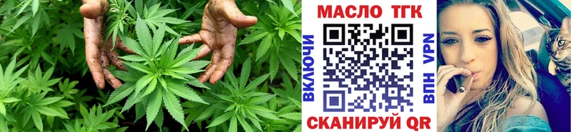 Дистиллят ТГК THC oil  закладка  OMG ссылка  Сегежа 