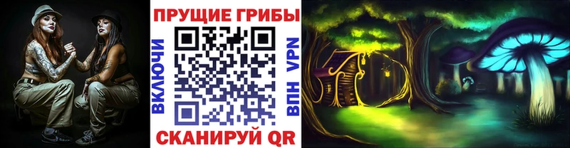 Галлюциногенные грибы Cubensis Сегежа