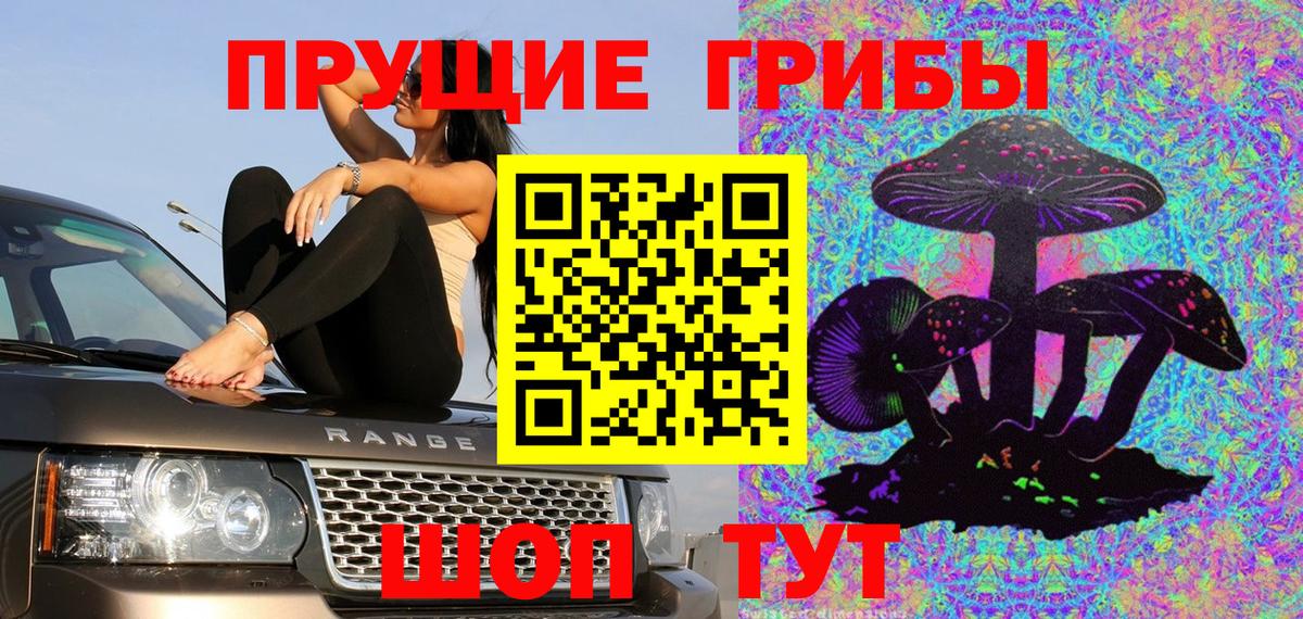 Галлюциногенные грибы Psilocybe Сегежа
