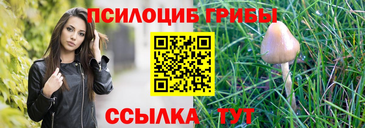 Псилоцибиновые грибы мухоморы  Вход с VPN  Галлюциногенные грибы Magic Shrooms  Сегежа 